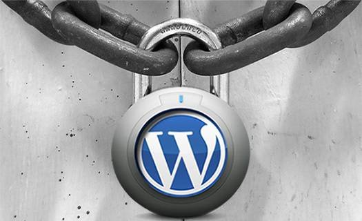 wordpress, diseño web, diseño, desarrollo